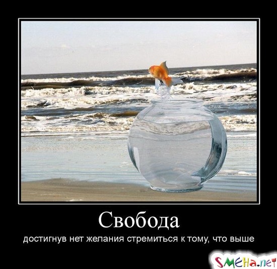 Свобода - достигнув нет желания стремиться к тому, что выше
