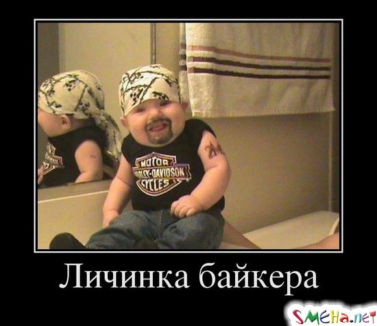 Личинка байкера