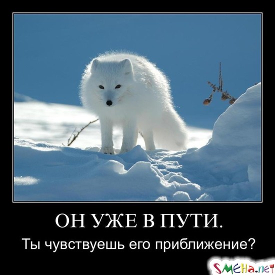 ОН УЖЕ В ПУТИ. - Ты чувствуешь его приближение?