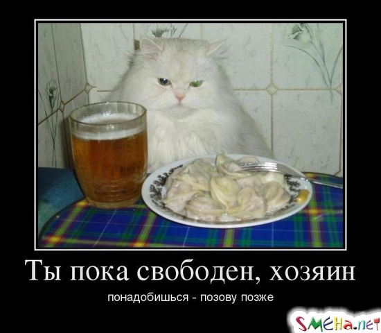 Ты пока свободен, хозяин понадобишься - позову позже