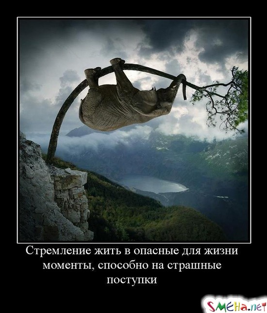 Стремление жить в опасные для жизни моменты, способно на страшные поступки