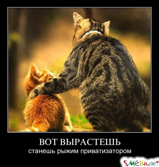 ВОТ ВЫРАСТЕШЬ - станешь рыжим приватизатором