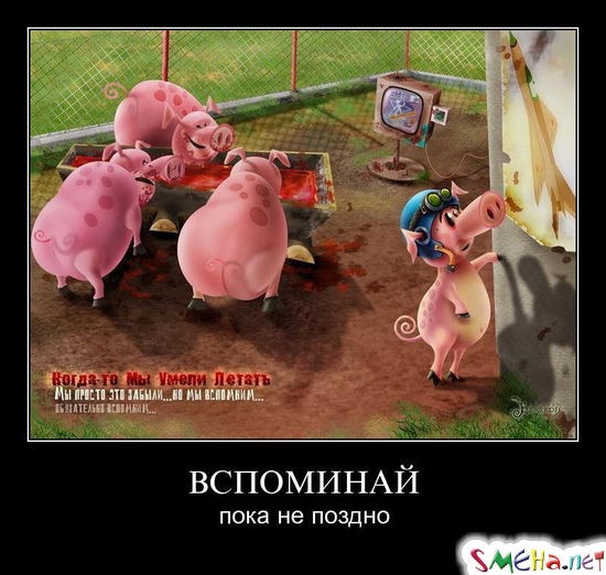 ВСПОМИНАЙ - пока не поздно