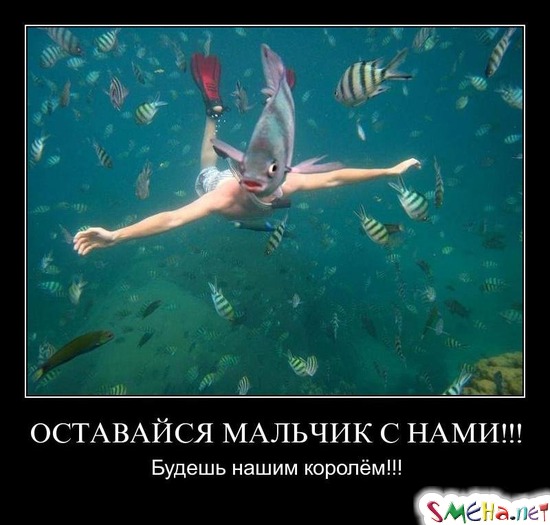 ОСТАВАЙСЯ МАЛЬЧИК С НАМИ!!! - Будешь нашим королём!!!