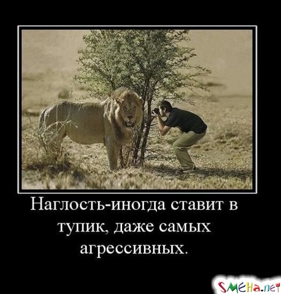 Наглость - иногда ставит в тупик, даже самых агрессивных.
