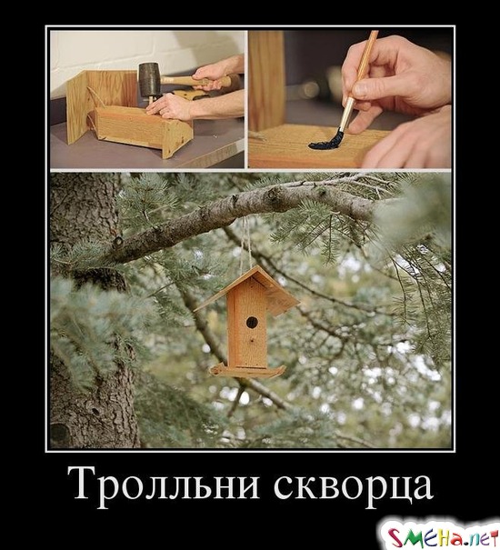 Тролльни скворца