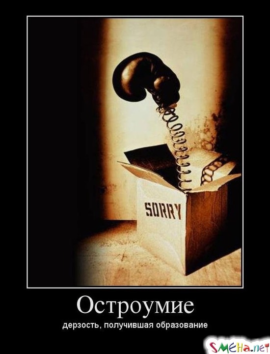 Остроумие - дерзость, получившая образование