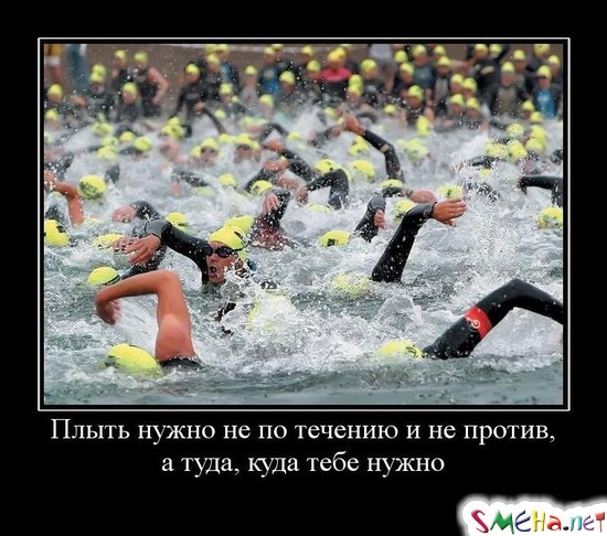 Плыть нужно не по течению и не против, - а туда, куда тебе нужно