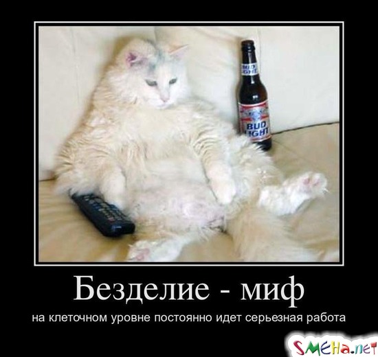 Безделие - миф на клеточном уровне постоянно идет серьезная работа