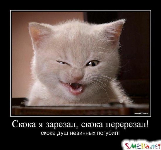 Скока я зарезал, скока перерезал! - скока душ невинных погубил!