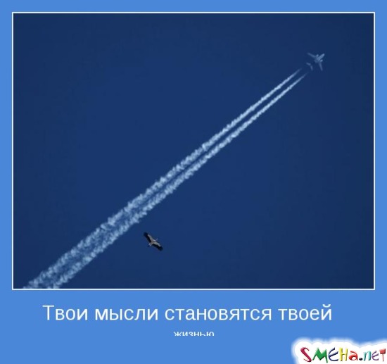Твои мысли становятся твоей жизнью