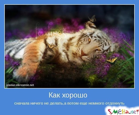 Как хорошо - сначала ничего не делать,а потом еще немного отдохнуть