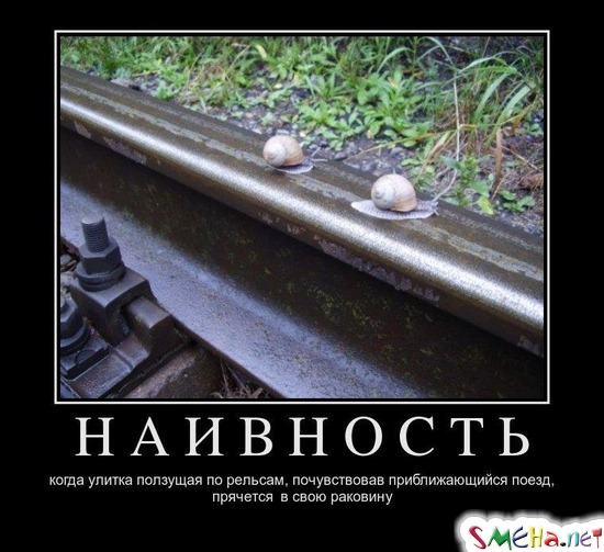 НАИВНОСТЬ - когда улитка ползущая по рельсам, почувствовав приближающийся поезд, прячется  в свою раковину