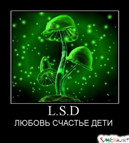 L.S.D - ЛЮБОВЬ СЧАСТЬЕ ДЕТИ