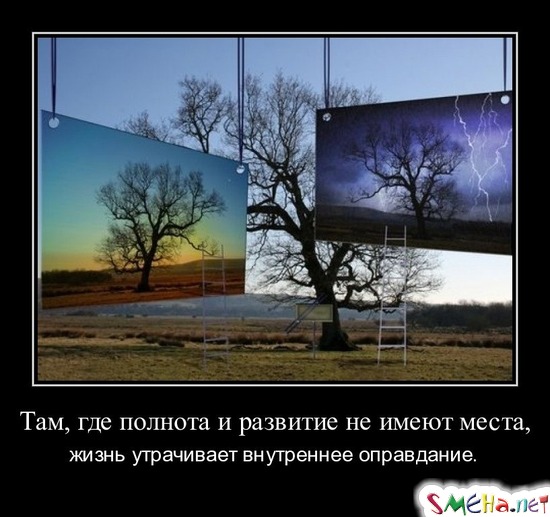 Там, где полнота и развитие не имеют места, - жизнь утрачивает внутреннее оправдание. Г. Марсель