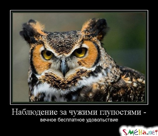 Наблюдение за чужими глупостями - вечное бесплатное удовольствие