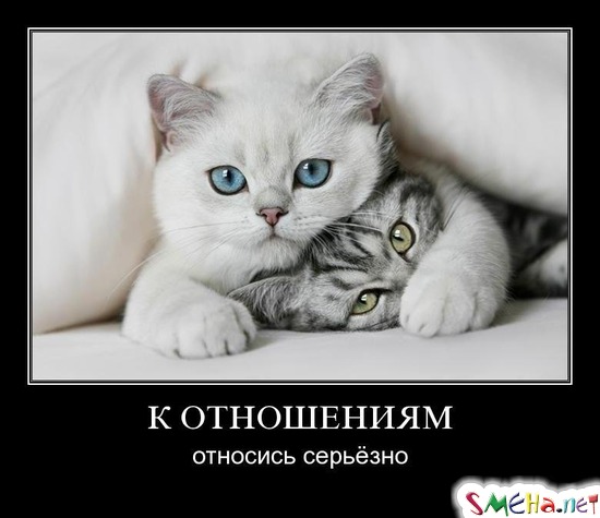 К ОТНОШЕНИЯМ - относись серьёзно