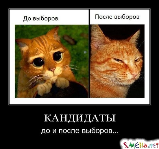 КАНДИДАТЫ - до и после выборов...