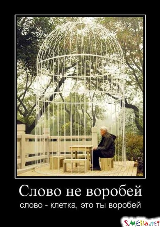 Слово не воробей - слово - клетка, это ты воробей