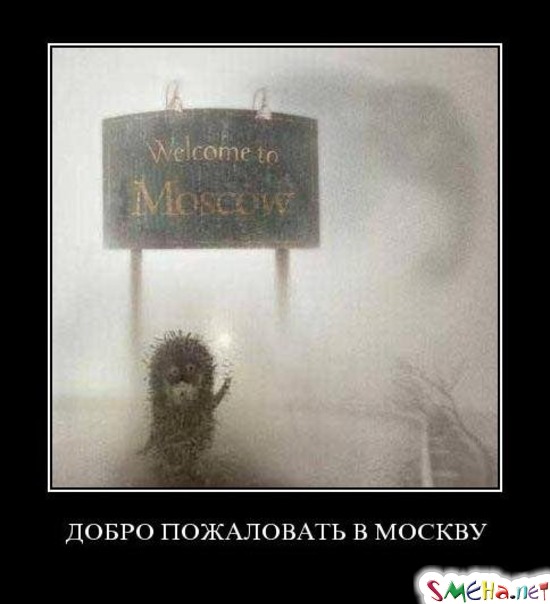 ДОБРО ПОЖАЛОВАТЬ В МОСКВУ