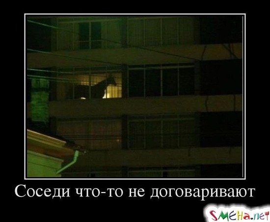 Соседи что-то не договаривают