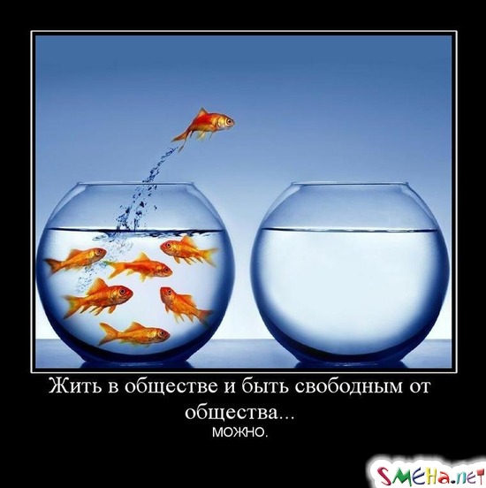 Жить в обществе и быть свободным от общества... - МОЖНО.