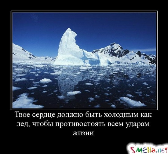 Твое сердце должно быть холодным как лед, чтобы противостоять всем ударам жизни