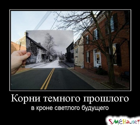Корни темного прошлого - в кроне светлого будущего