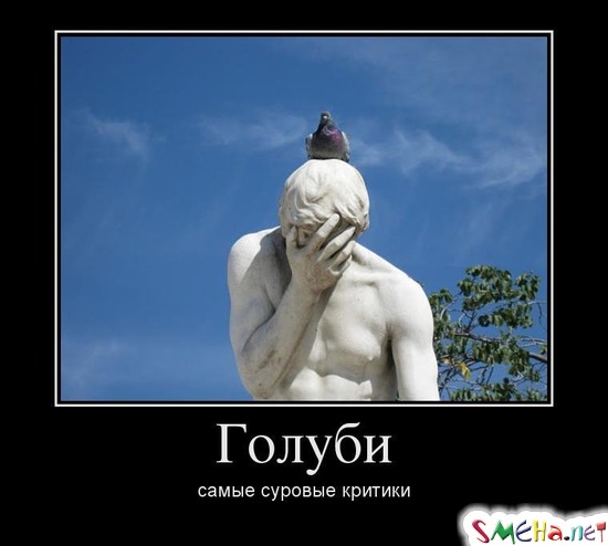 Голуби - самые суровые критики