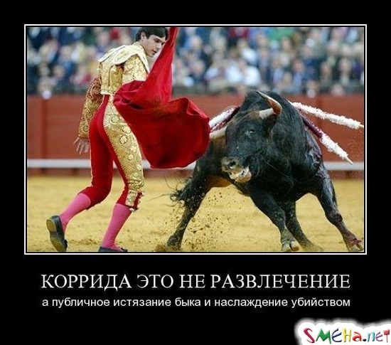КОРРИДА ЭТО НЕ РАЗВЛЕЧЕНИЕ - а публичное истязание быка и наслаждение убийством