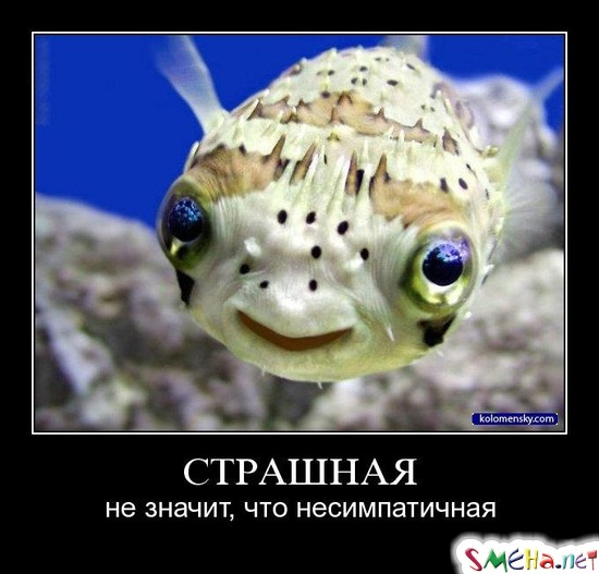 СТРАШНАЯ - не значит, что несимпатичная