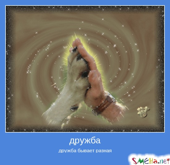 дружба - дружба бывает разная