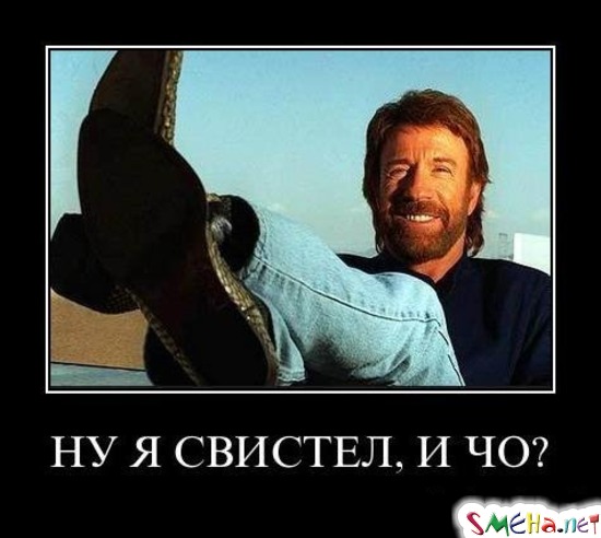 НУ Я СВИСТЕЛ, И ЧО?