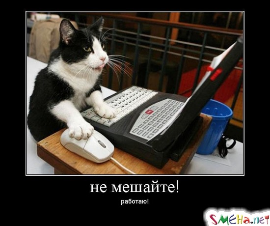 не мешайте! - работаю!