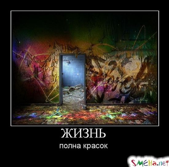 ЖИЗНЬ - полна красок