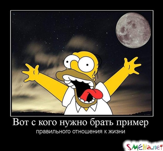 Вот с кого нужно брать пример - правильного отношения к жизни