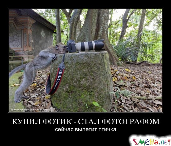 КУПИЛ ФОТИК - СТАЛ ФОТОГРАФОМ - сейчас вылетит птичка