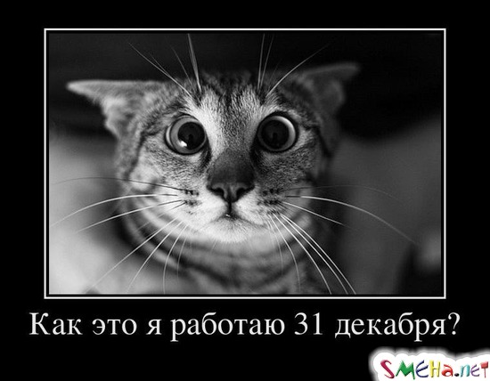 Как это я работаю 31 декабря?