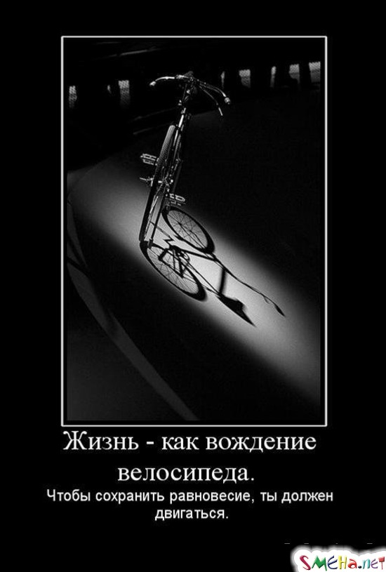 Жизнь - как вождение велосипеда. - Чтобы сохранить равновесие, ты должен двигаться.