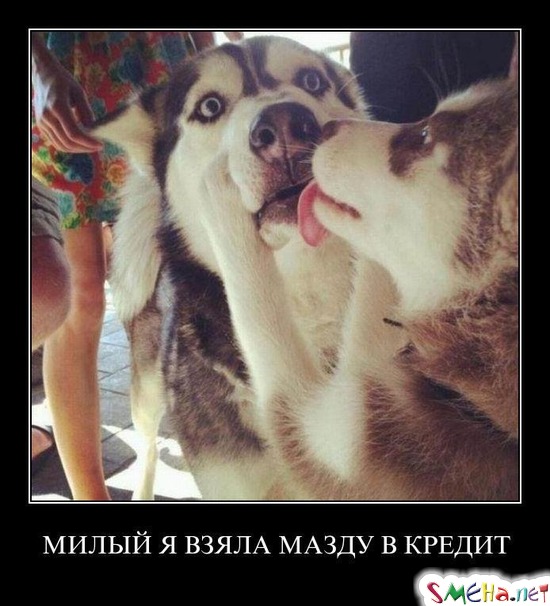 МИЛЫЙ Я ВЗЯЛА МАЗДУ В КРЕДИТ