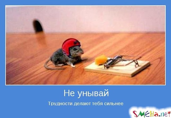 Не унывай - Трудности делают тебя сильнее