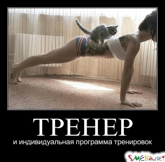ТРЕНЕР - и индивидуальная программа тренировок