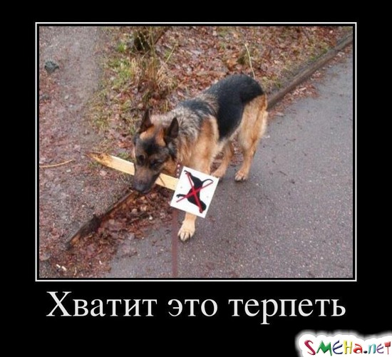 Хватит это терпеть
