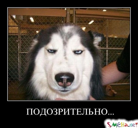 ПОДОЗРИТЕЛЬНО...