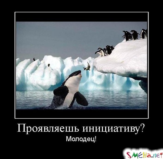 Проявляешь инициативу - Молодец!