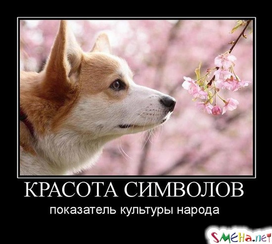 КРАСОТА СИМВОЛОВ - показатель культуры народа