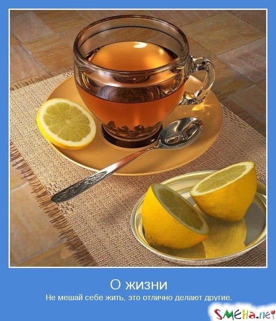 О жизни - Не мешай себе жить, это отлично делают другие.
