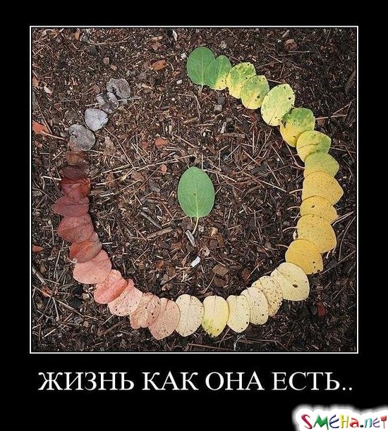 ЖИЗНЬ КАК ОНА ЕСТЬ..