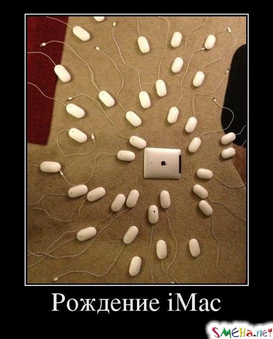 Рождение iMac