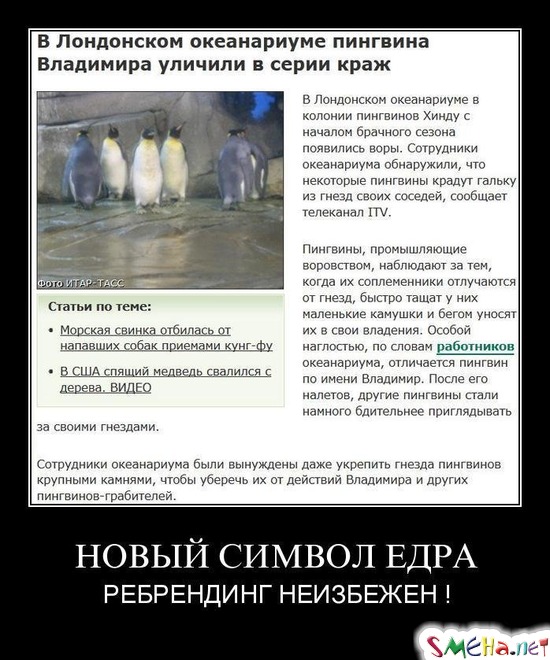 НОВЫЙ СИМВОЛ ЕДРА - РЕБРЕНДИНГ НЕИЗБЕЖЕН !